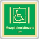 mozgaskorl